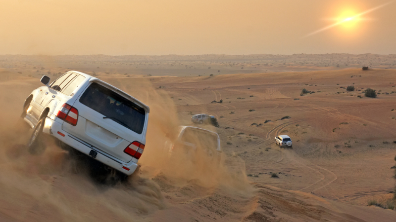 Morning desert safari tour