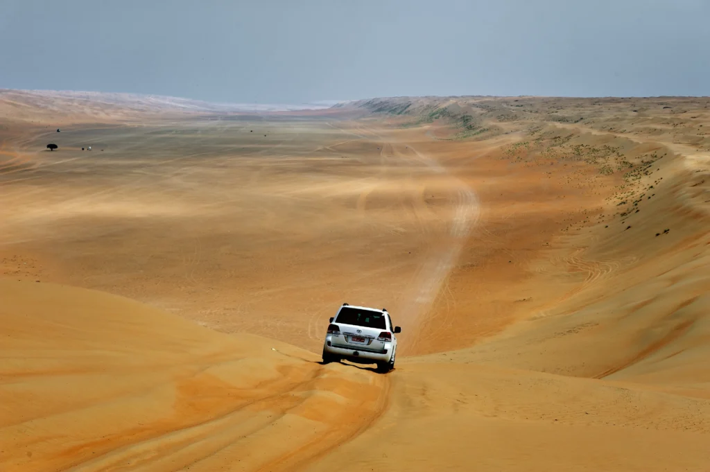 VIP Desert Safaris Dubai Tours