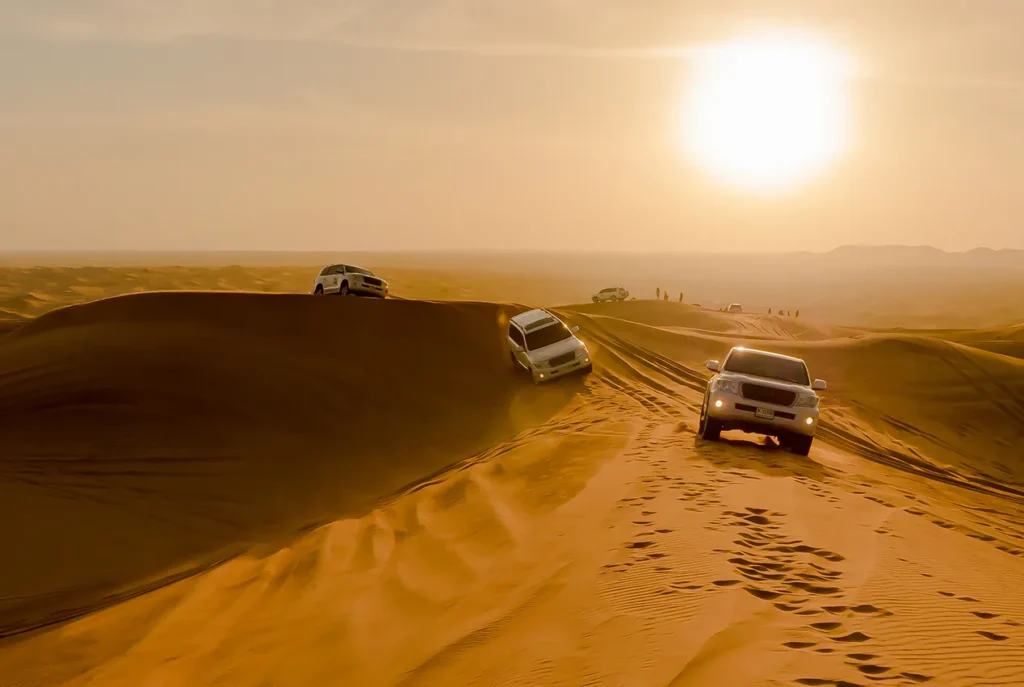 VIP Desert Safaris Dubai Tour